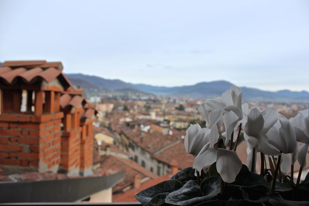Casa Vacanza Fontana Del Delfino Бергамо Номер фото