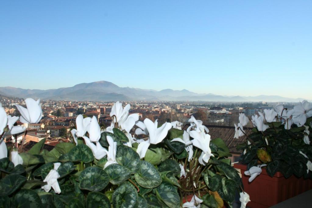 Casa Vacanza Fontana Del Delfino Бергамо Номер фото